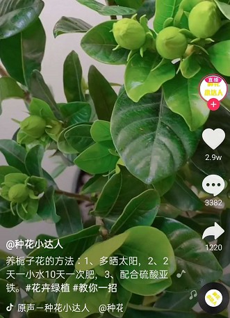 ၆FĲ֮xSҿ(lin)ϵԒ13838587319 O(jng)